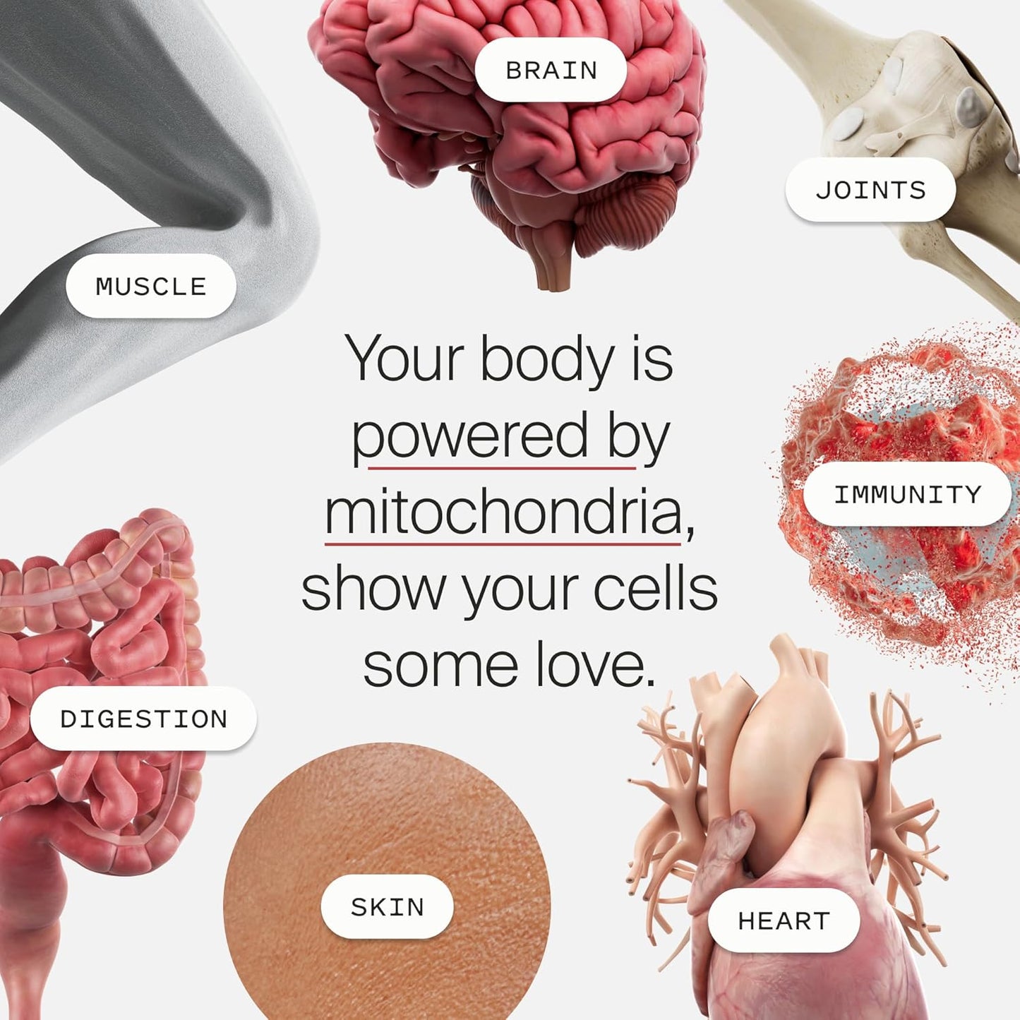 Mitopure Softgels Sample